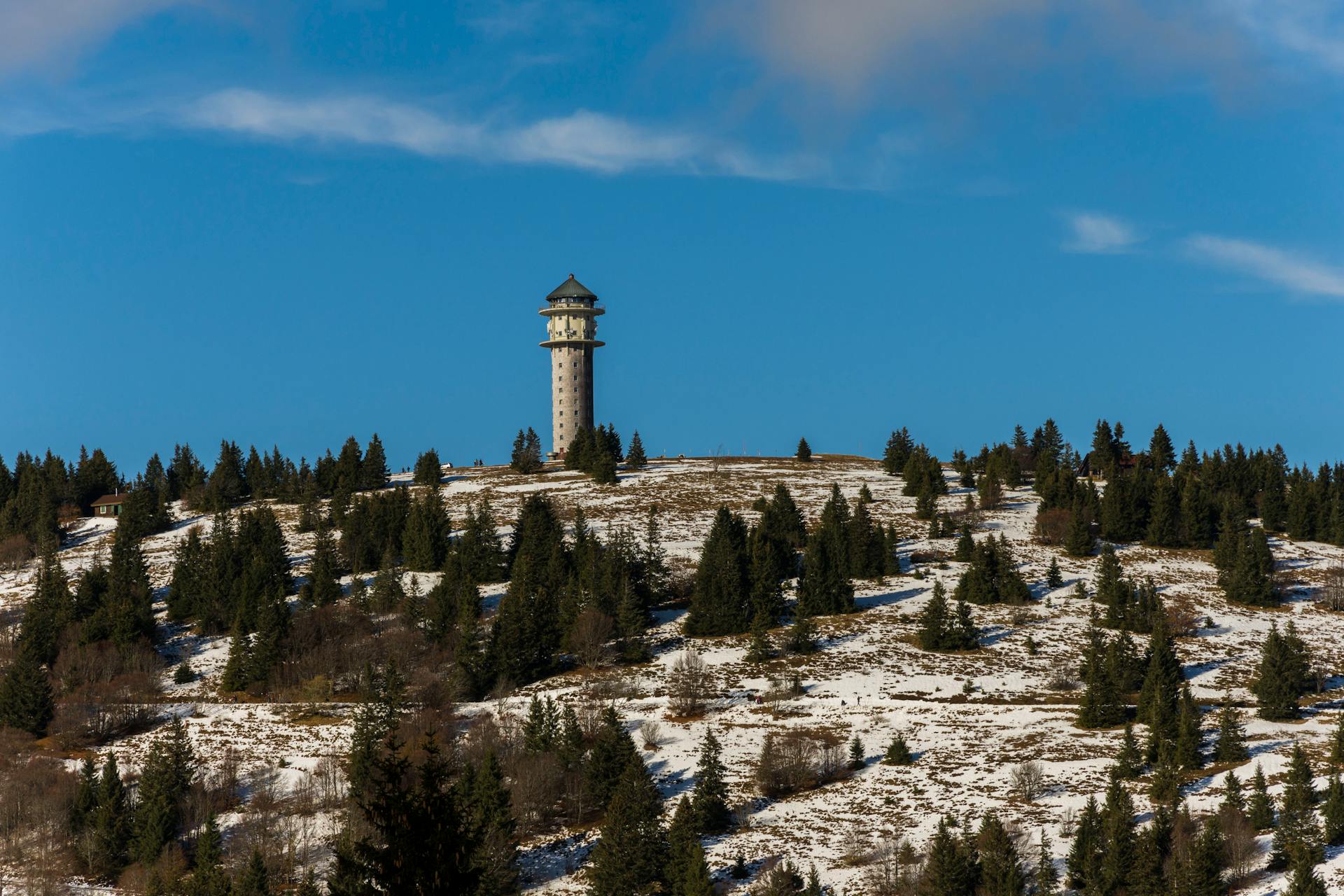 Observation Tower on a Hill with Conifers