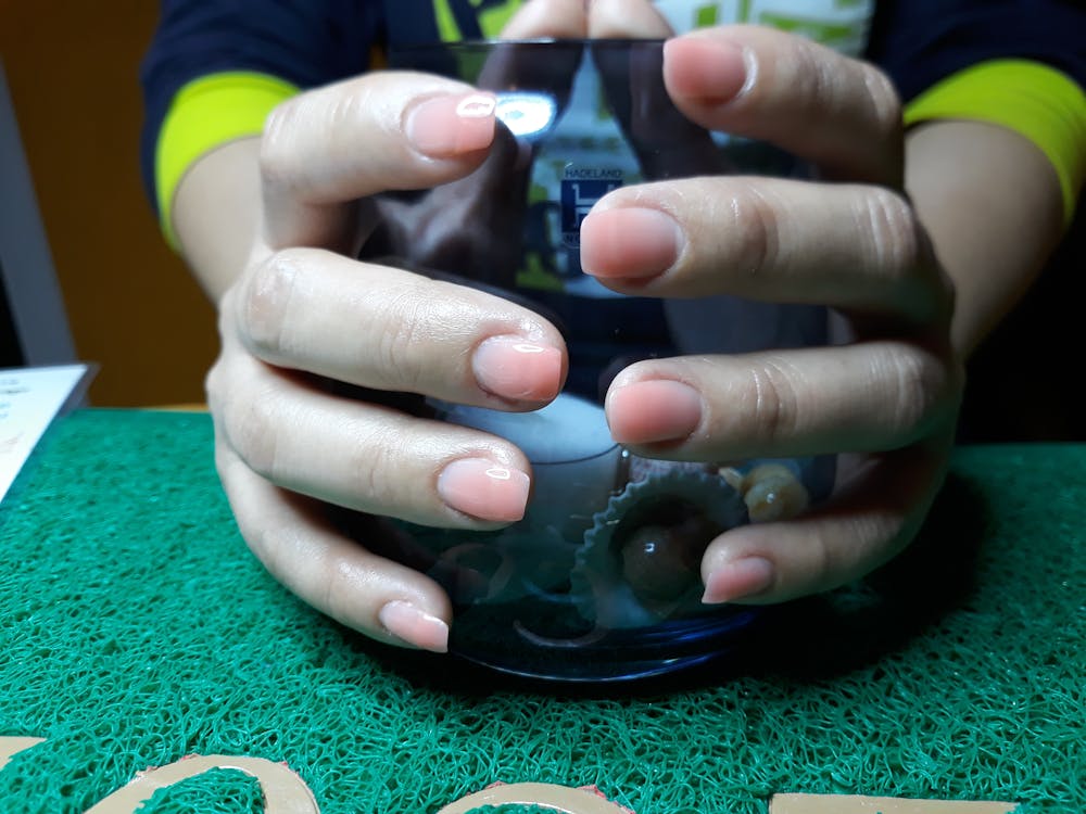 Free stock photo of Nail gel color