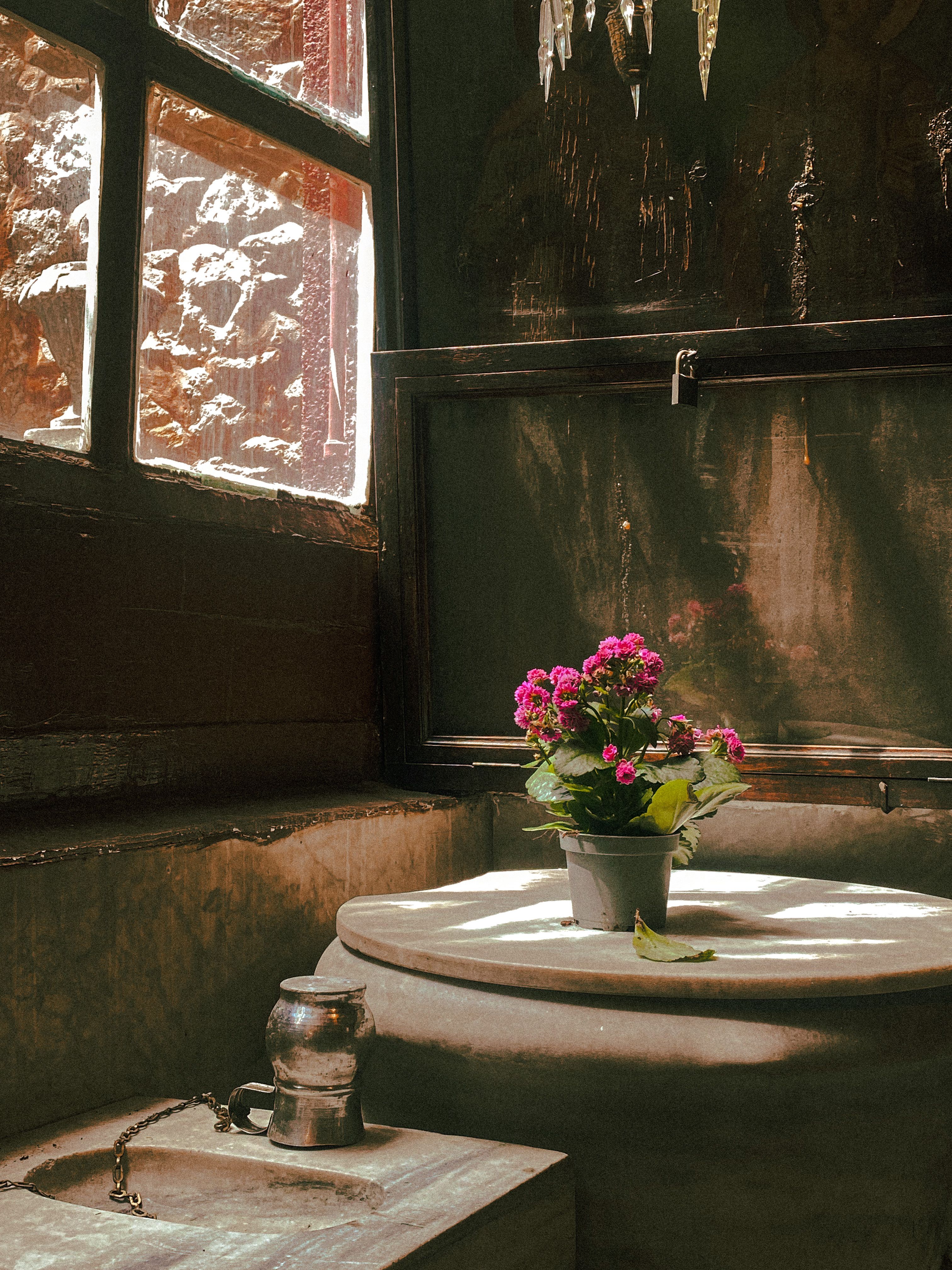 Antique Flower Pot Photos, Download The BEST Free Antique Flower Pot ...