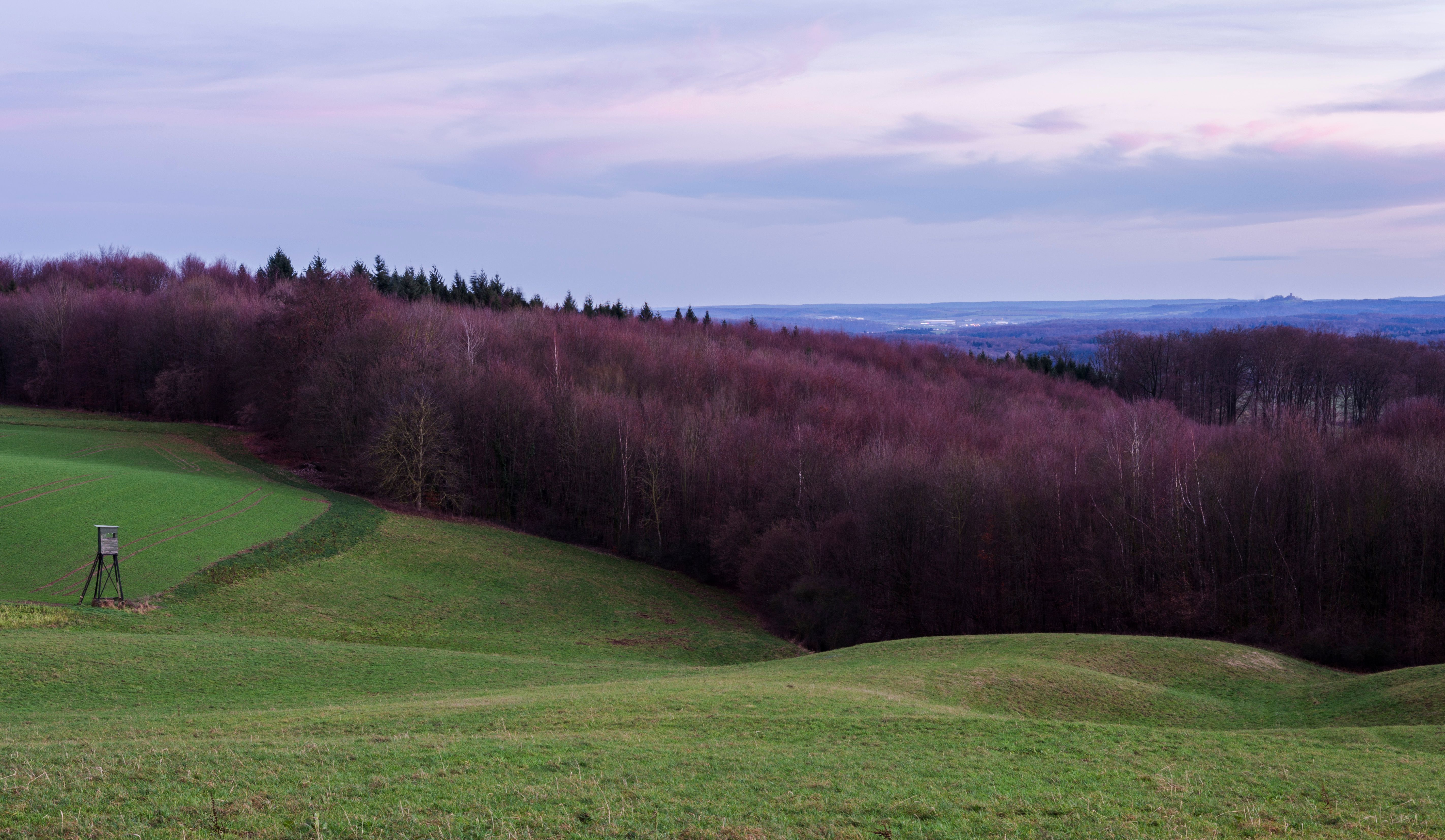 Peaceful landscape of Gaiberg, Germany with rolling fields and forest at dusk.