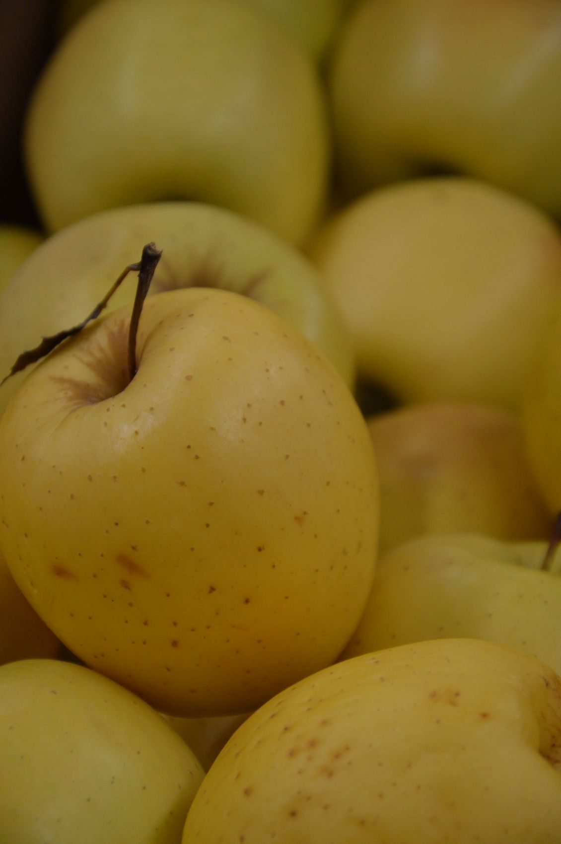 Golden Delicious — Yellow-green skin with a mild, honeyed sweetness. Common across Jammu & Kashmir.