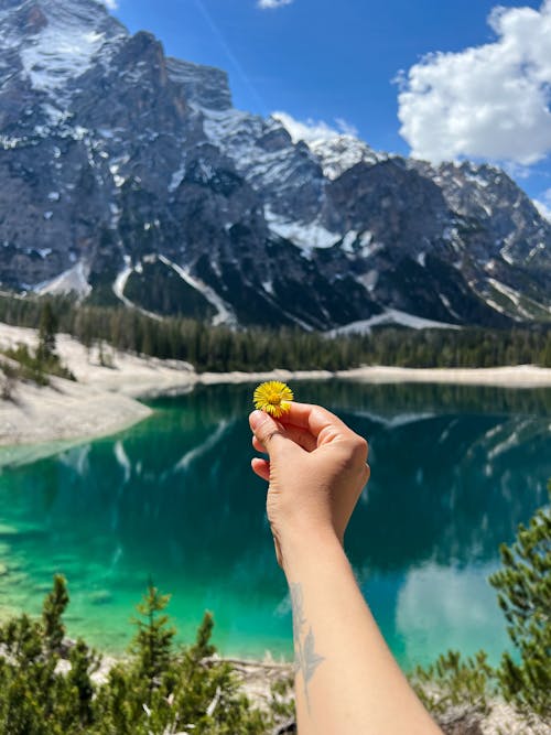 Woman Holding Flower in Mountains Landscape with Lake