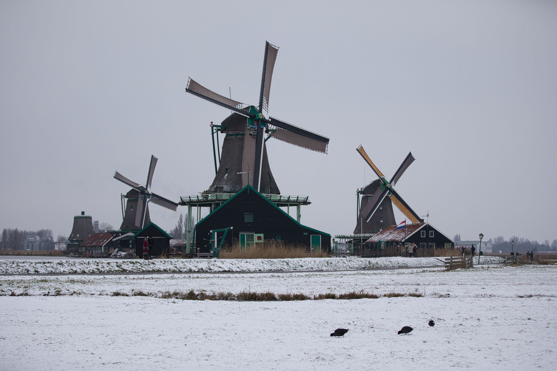 Provincie investeert miljoenen in Brabantse monumenten, bijna twee ton voor molen in Moergestel