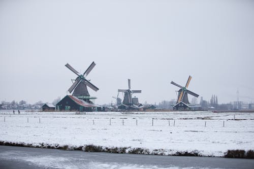 Fotobanka s bezplatnými fotkami na tému chladný, Holandsko, hracie pole