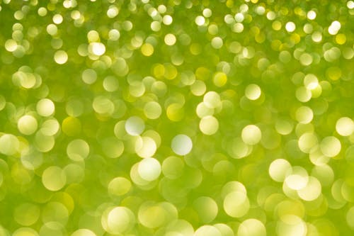 Close-up of Green Defocus Lights