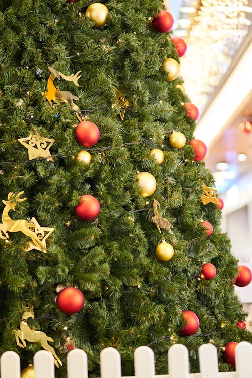 聖誕樹上裝飾著紅色和金色的小玩意