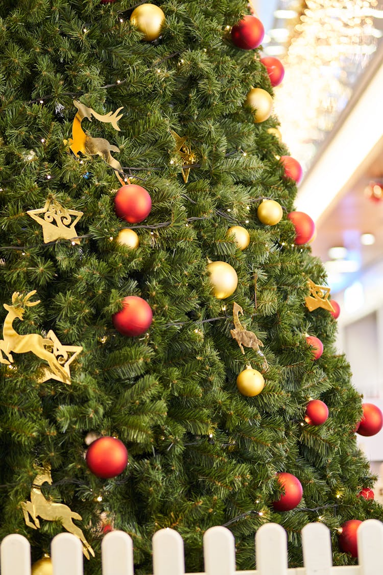 Christmas Tree Decorated With Red And Gold Baubles