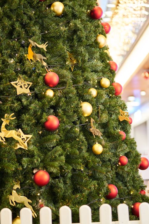 Free A beautifully decorated Christmas tree indoors with red and gold ornaments and festive lights. Stock Photo