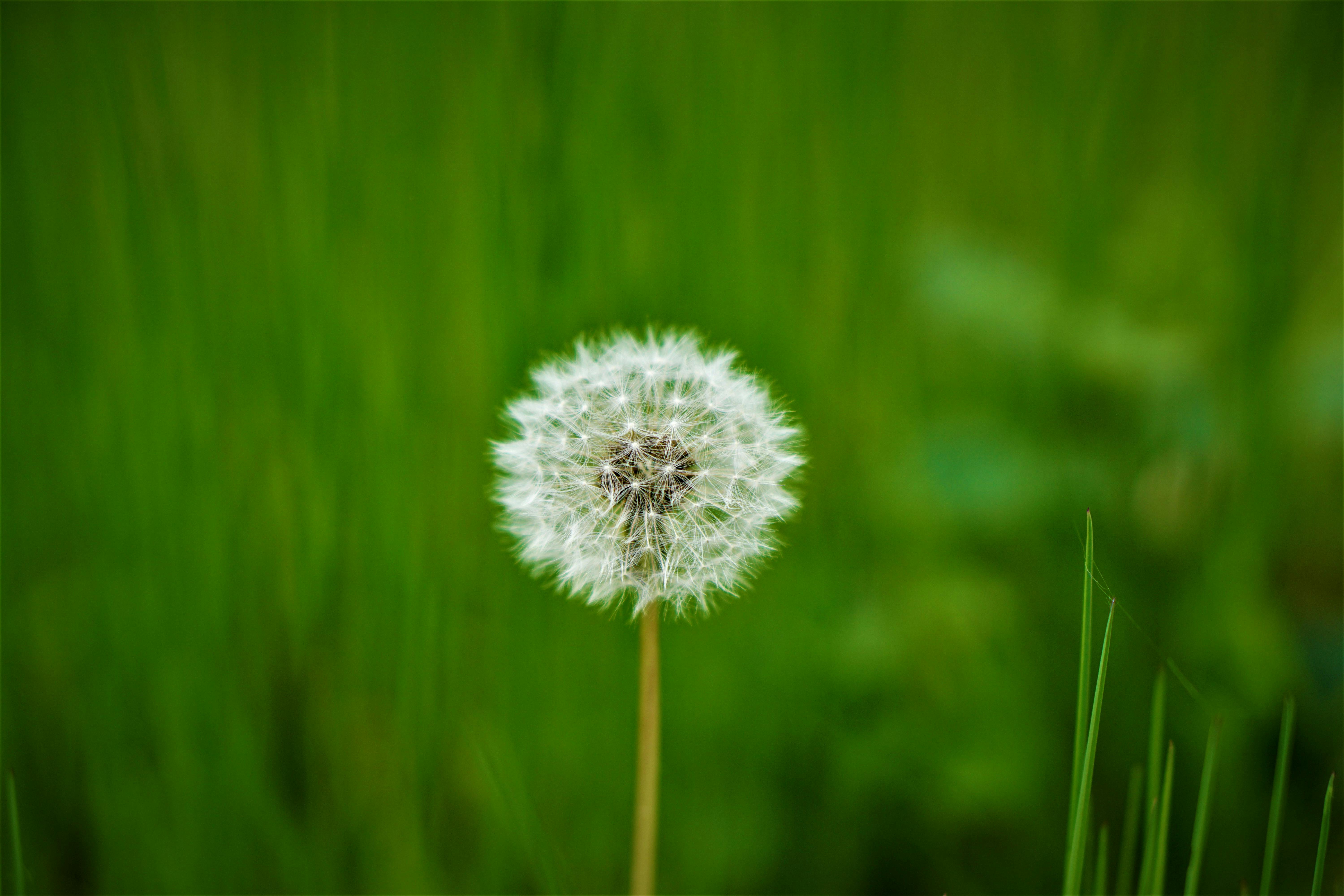 how-to-implement-theming-in-ssr-nuxt-tailwind