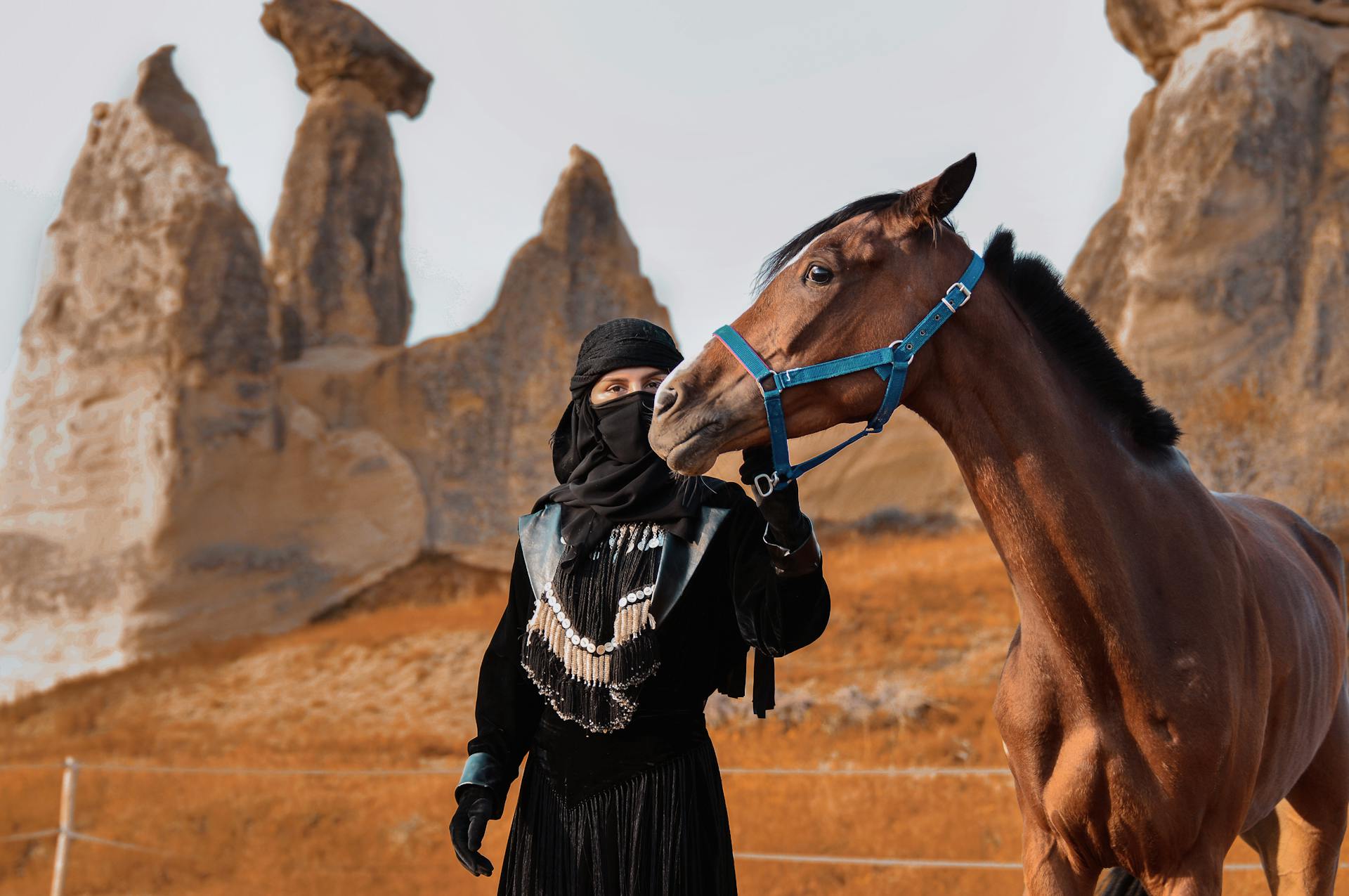 Person Leading a Horse