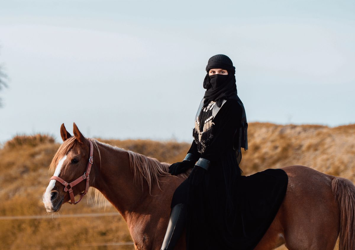 An Arabian horse in the desert light.