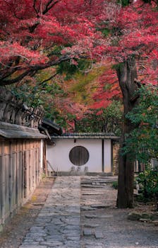 一条宁静的花园小径旁，传统的日本建筑掩映在充满活力的红色秋叶中