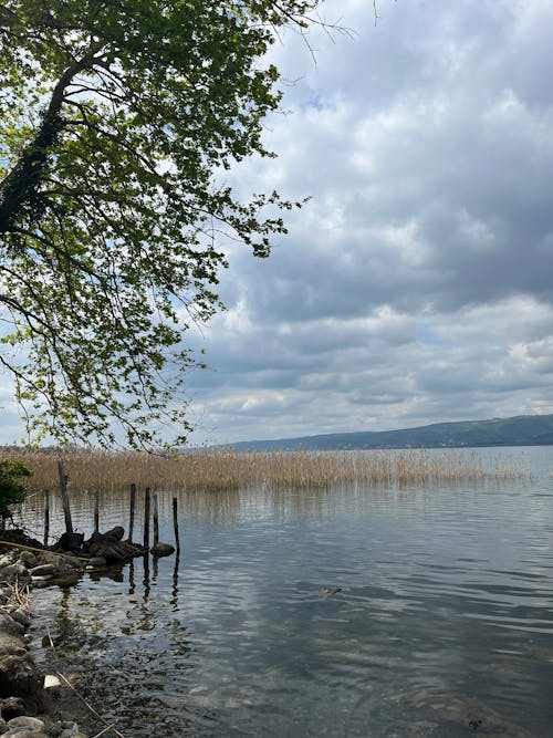 Imagine de stoc gratuită din casa lacului, faleză, fotografie peisaj