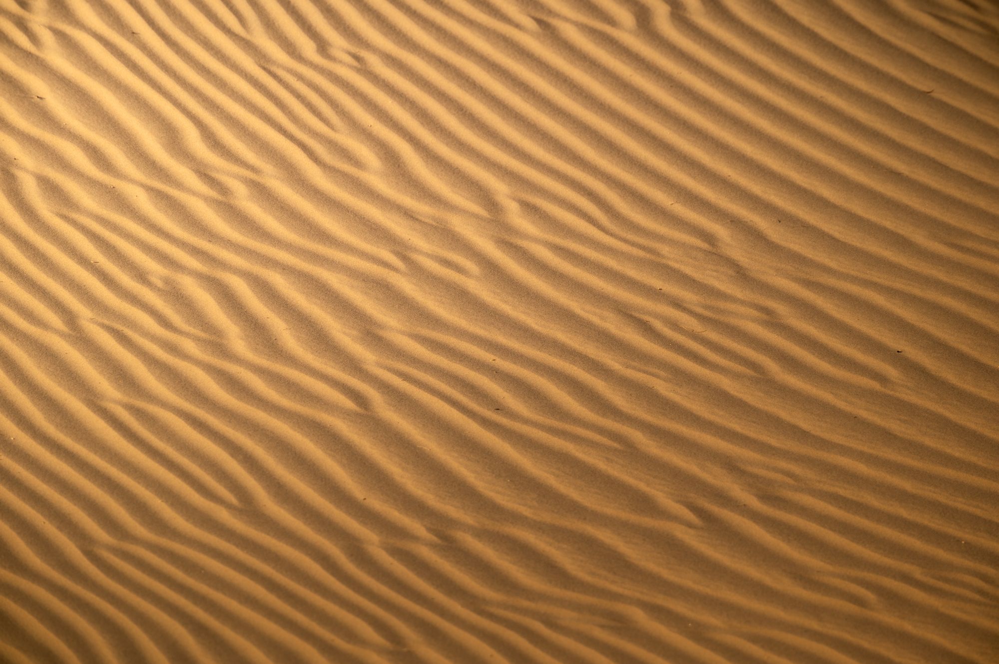 Vista aérea de dunas lineales paralelas que se extienden hacia el horizonte en un desierto