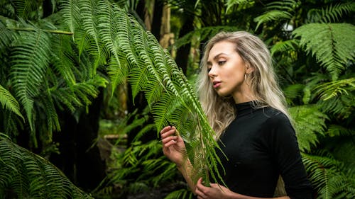 Ingyenes stockfotó álló kép, dzsungel, erdő témában