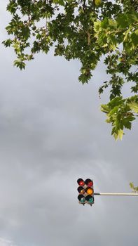 Low angle view of traffic lights surrounded by leafy branches under an overcast sky.