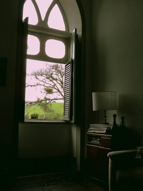 숲 자연, 아치형 창문, 창틀의 무료 스톡 사진