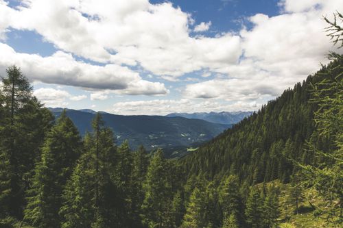 Free Lush evergreen forests with majestic mountain range under a cloud-filled sky. Stock Photo