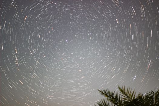 Long exposure of star trails in Khan Wahan, Sindh, Pakistan with palm silhouette.