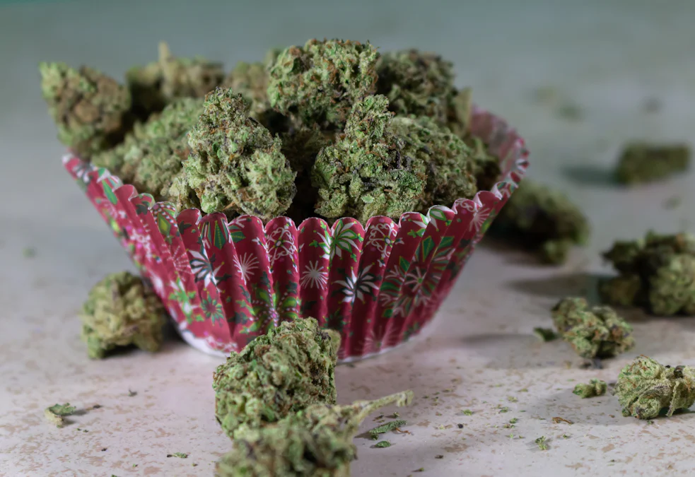 Was sind Cannabinoide und Terpene in der Cannabispflanze?