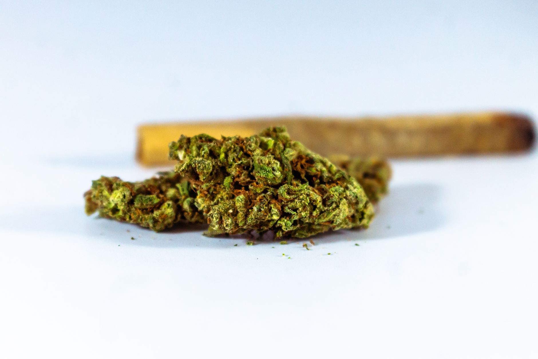 Detailed close-up of a cannabis bud with a blurred joint in the background on a white surface.
