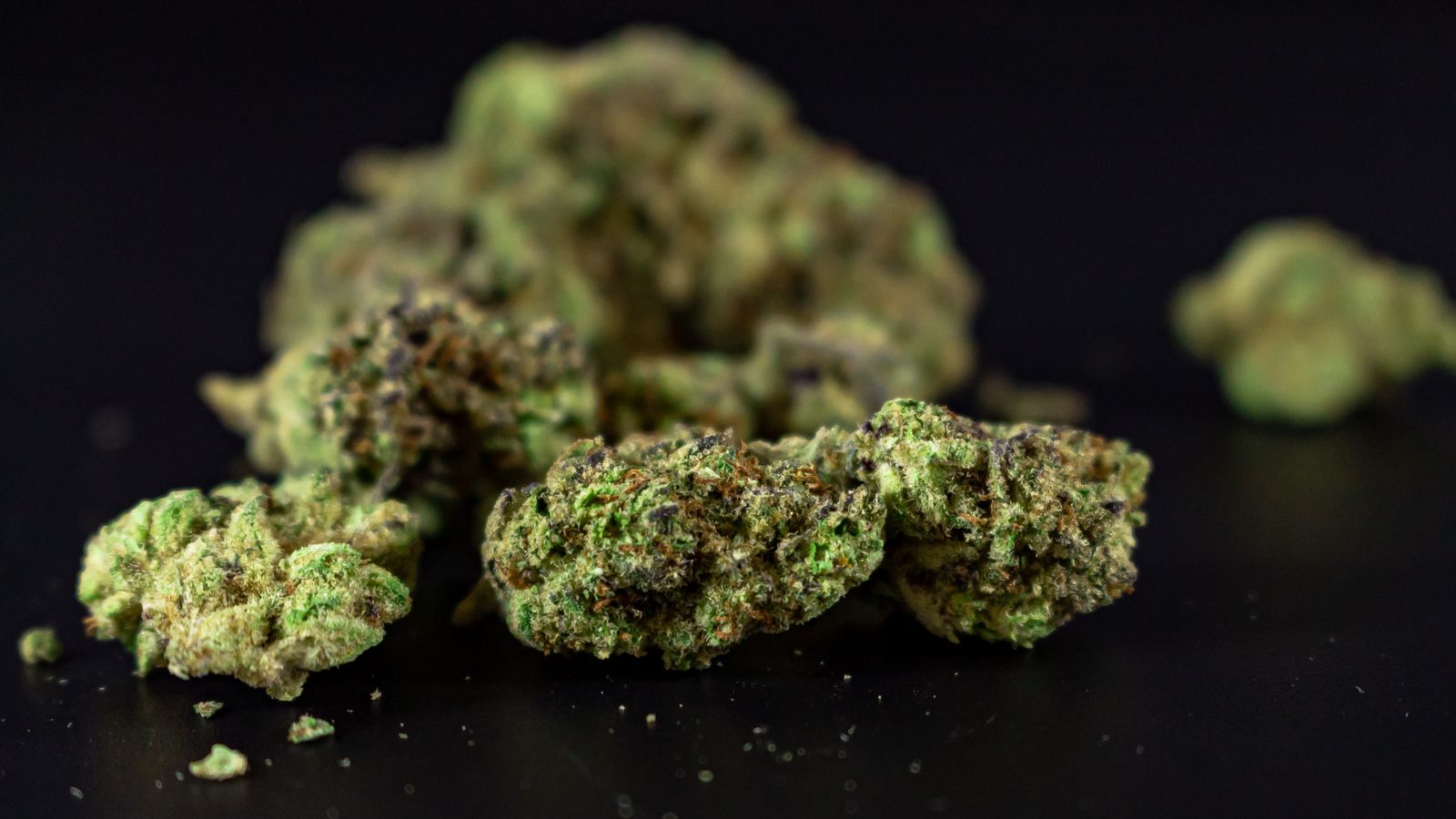Detailed close-up of cannabis flowers, showcasing texture and color against a black backdrop.