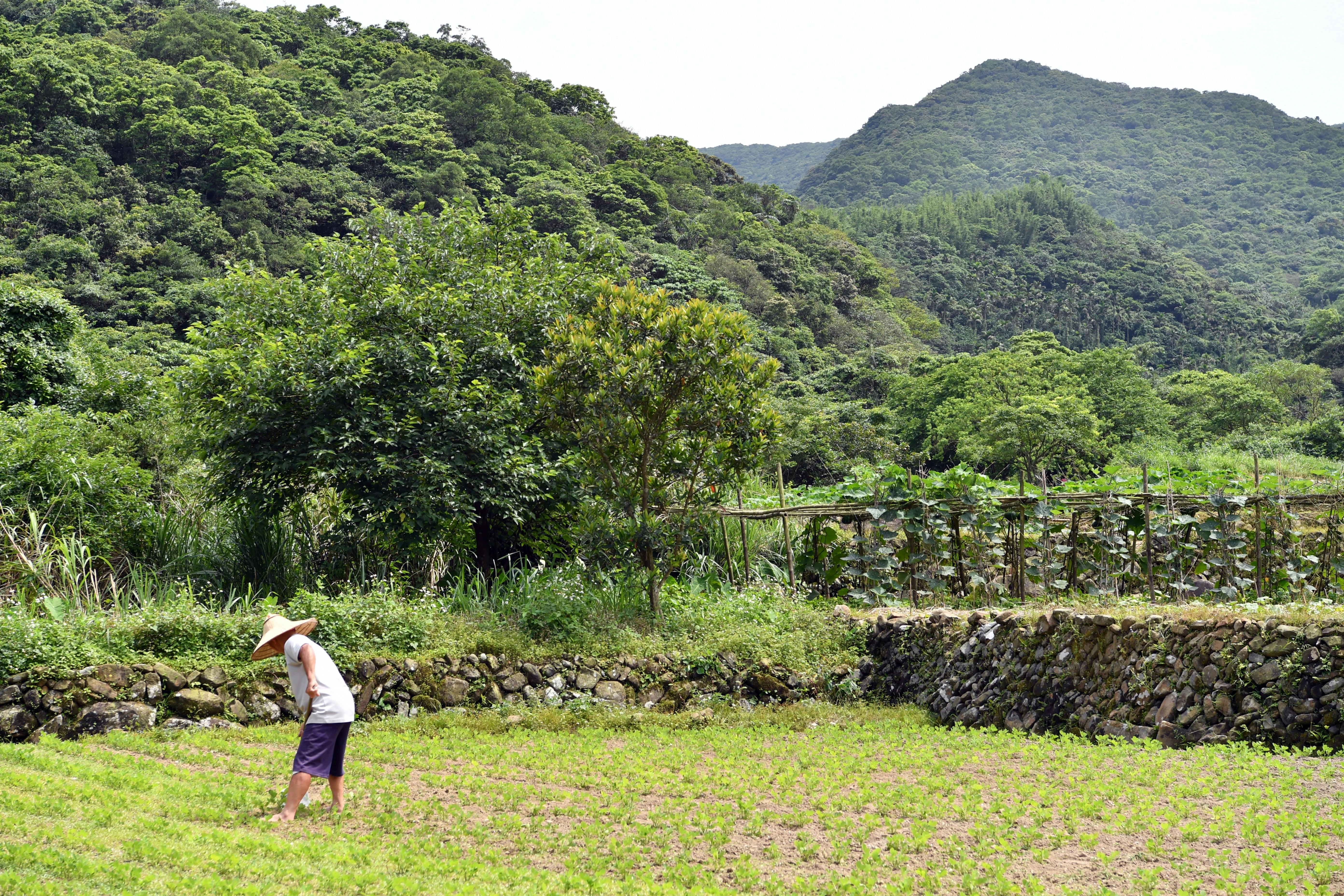 Many farmers utilize life insurance for farm financing — Photo by Chen Te on Pexels