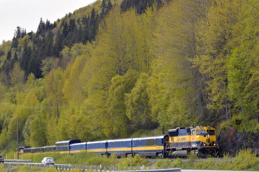 Capturing the iconic Alaska Railroad train traveling through lush forests near Anchorage.