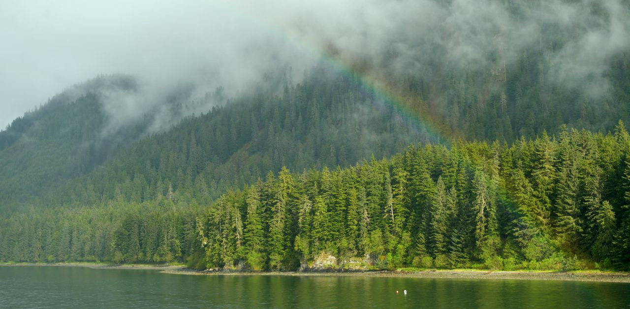 Hoonah