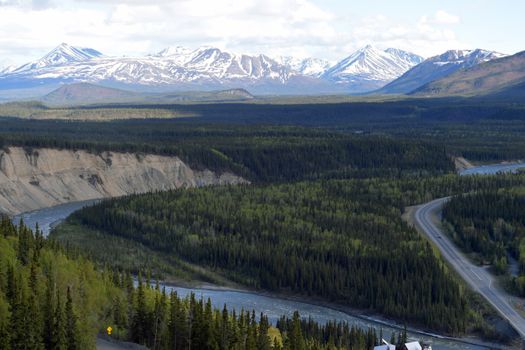 Denali National Park wildlife drive — Alaska