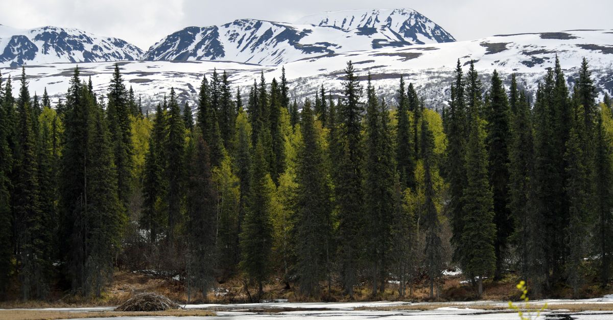Alaska hot springs remote wilderness, Elliott Highway Alaska landscape, small community hot spring bathhouse, boreal forest Alaska winter
