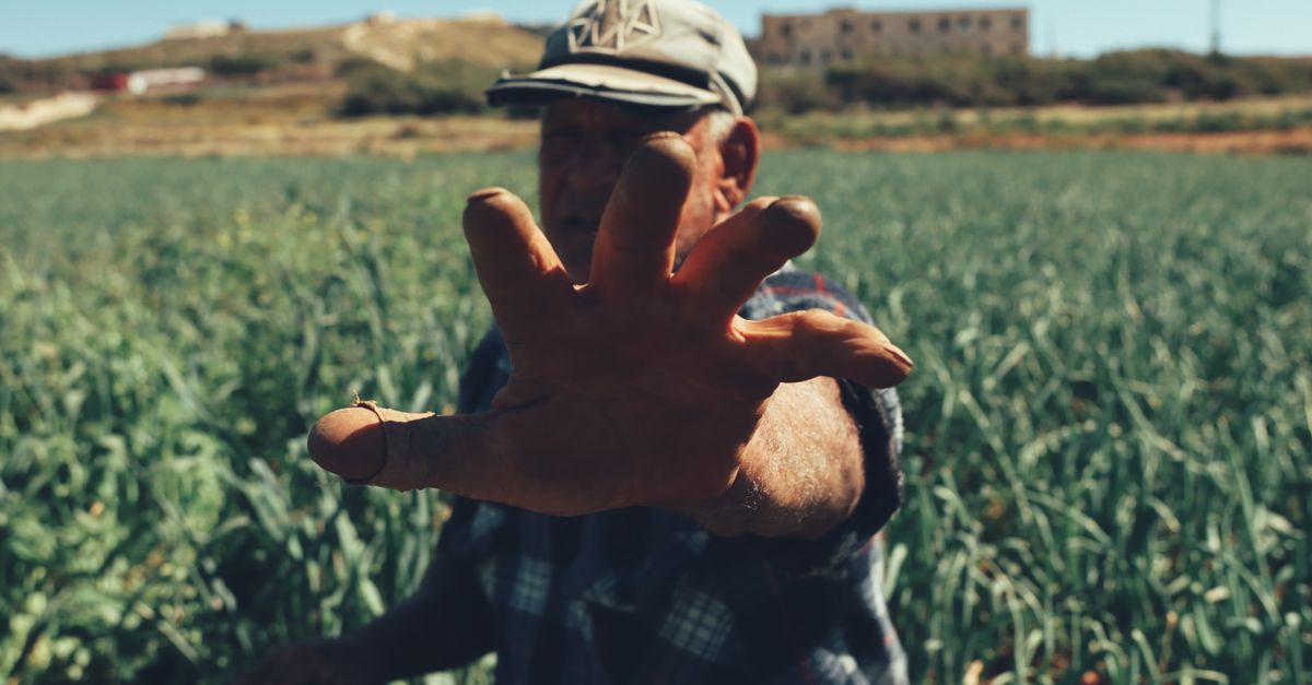 How to Tell if Joint Pain is Rheumatoid Arthritis or Osteoarthritis?