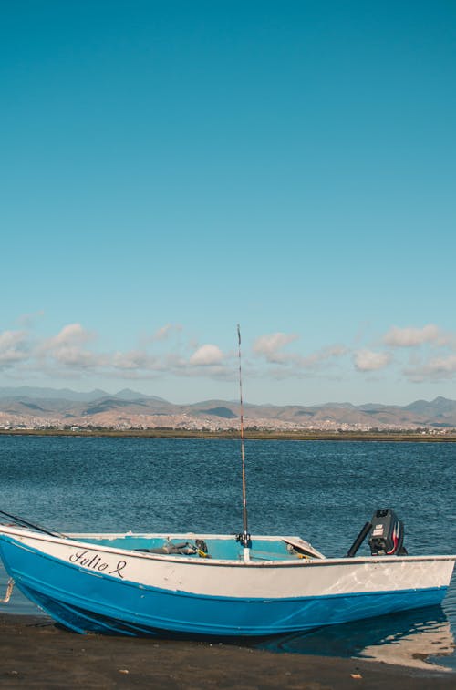 Бесплатное стоковое фото с вертикальный выстрел, вода, моторная лодка