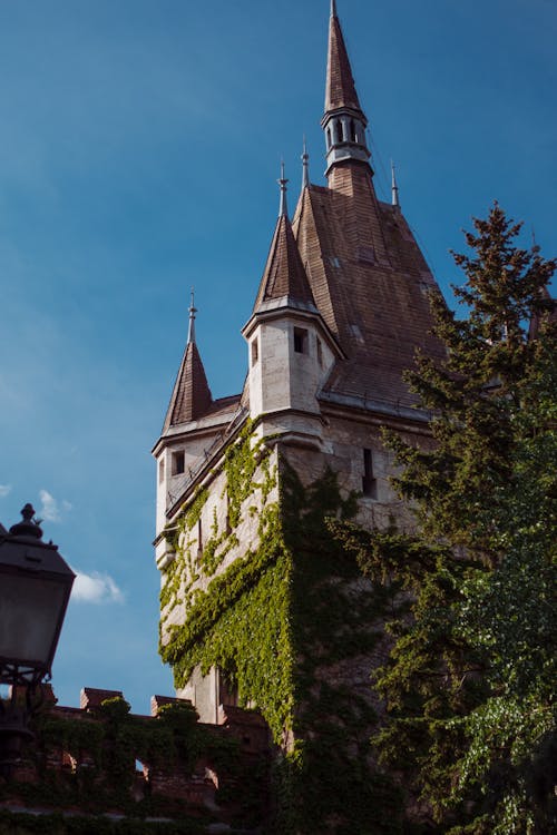 Ingyenes stockfotó Budapest, castle, emlékmű témában