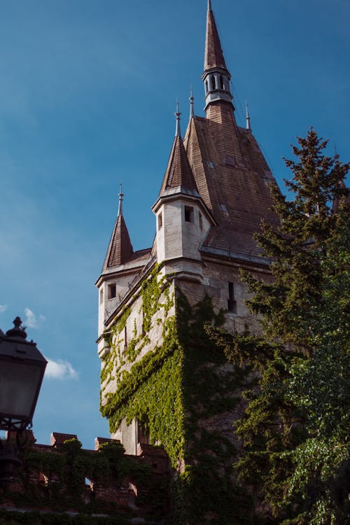 Tower of Vajdahunyad Castle