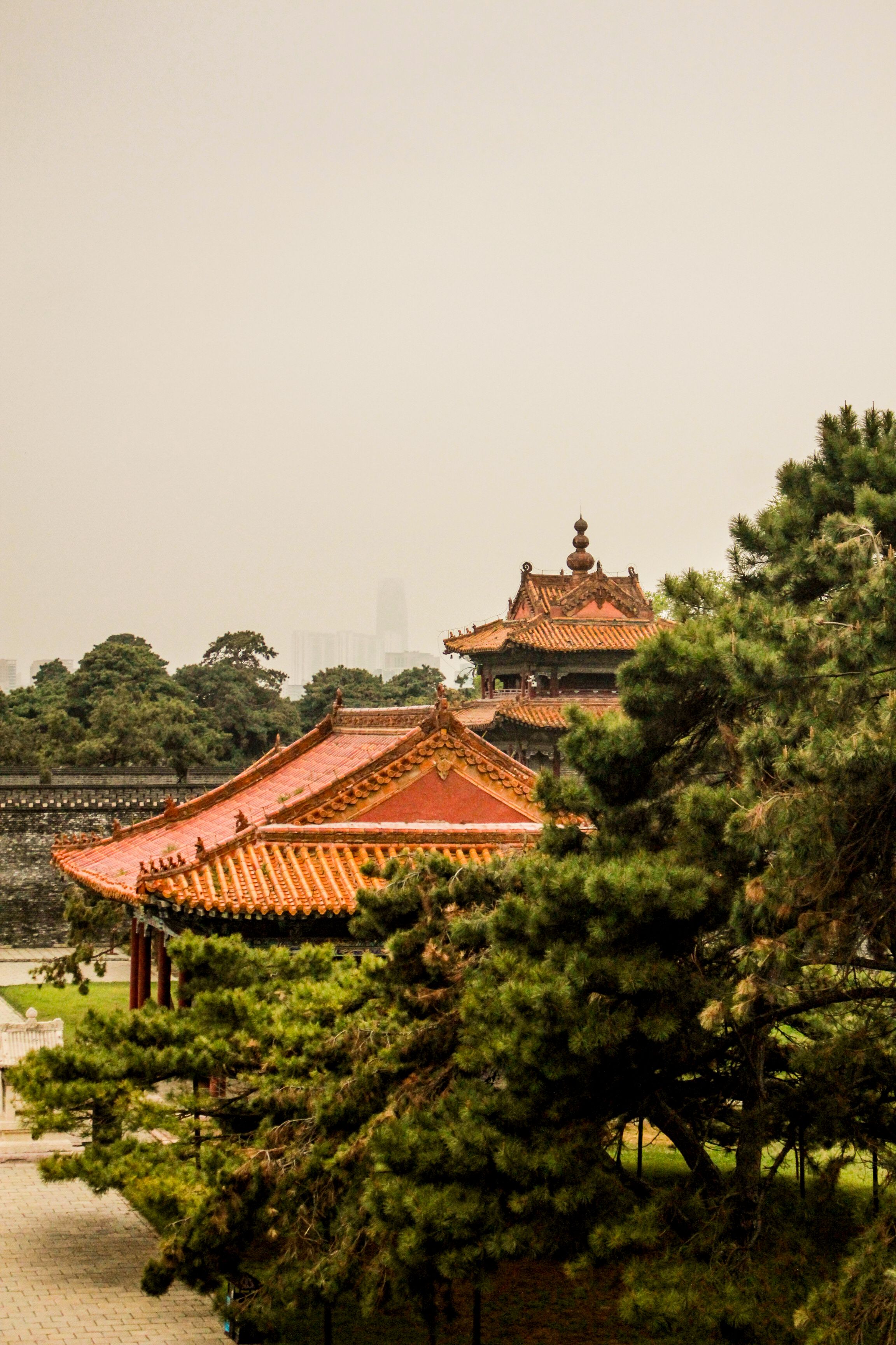 Temples with Japanese Style Rooftops · Free Stock Photo