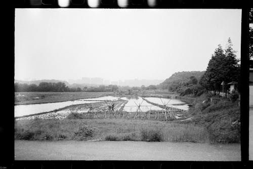 Darmowe zdjęcie z galerii z czarno-biały, polaroid, pole