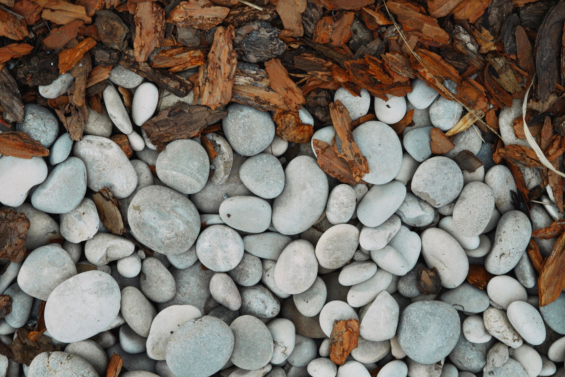 Pieces of Bark and a Stack of Rocks
