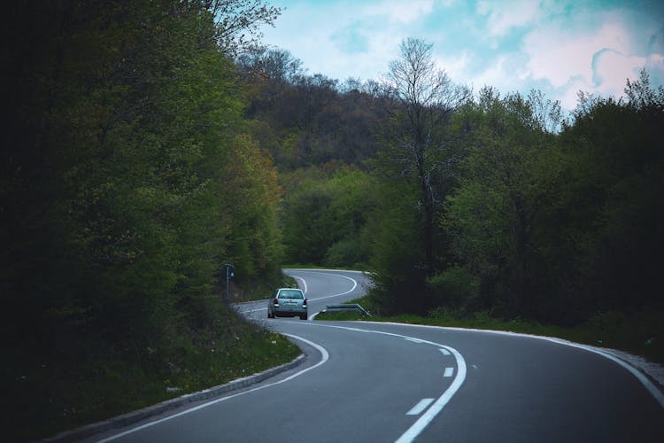 Car On Road In Forest