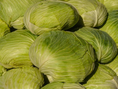 Close-up of a Pile of Cabbage 