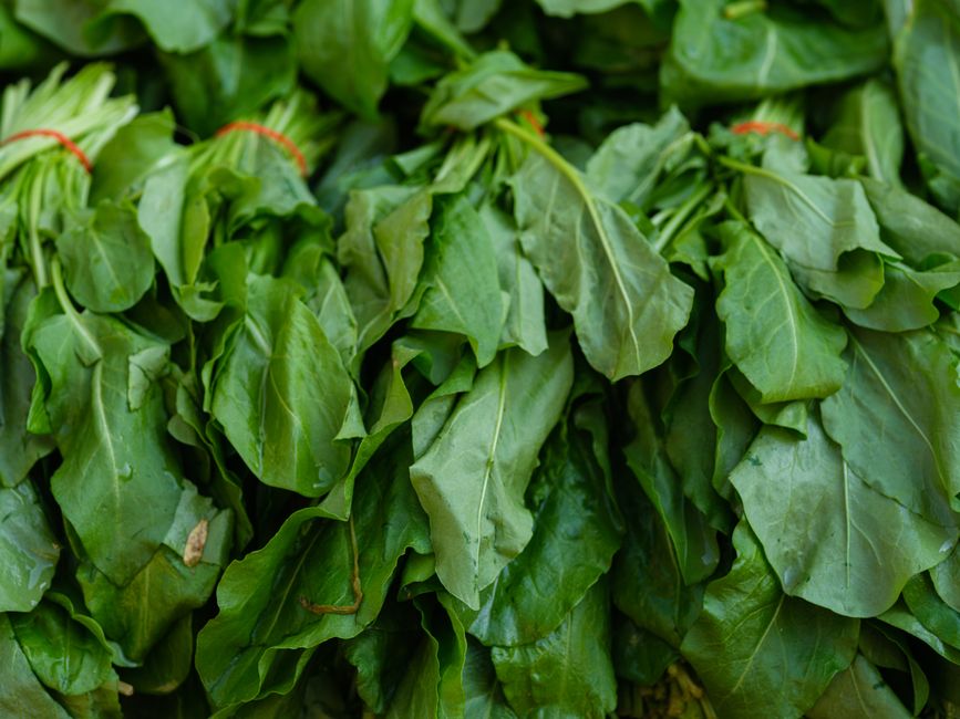 Eating Vegetarian on Business Trips: Finding Food at Airports and Train Stations
