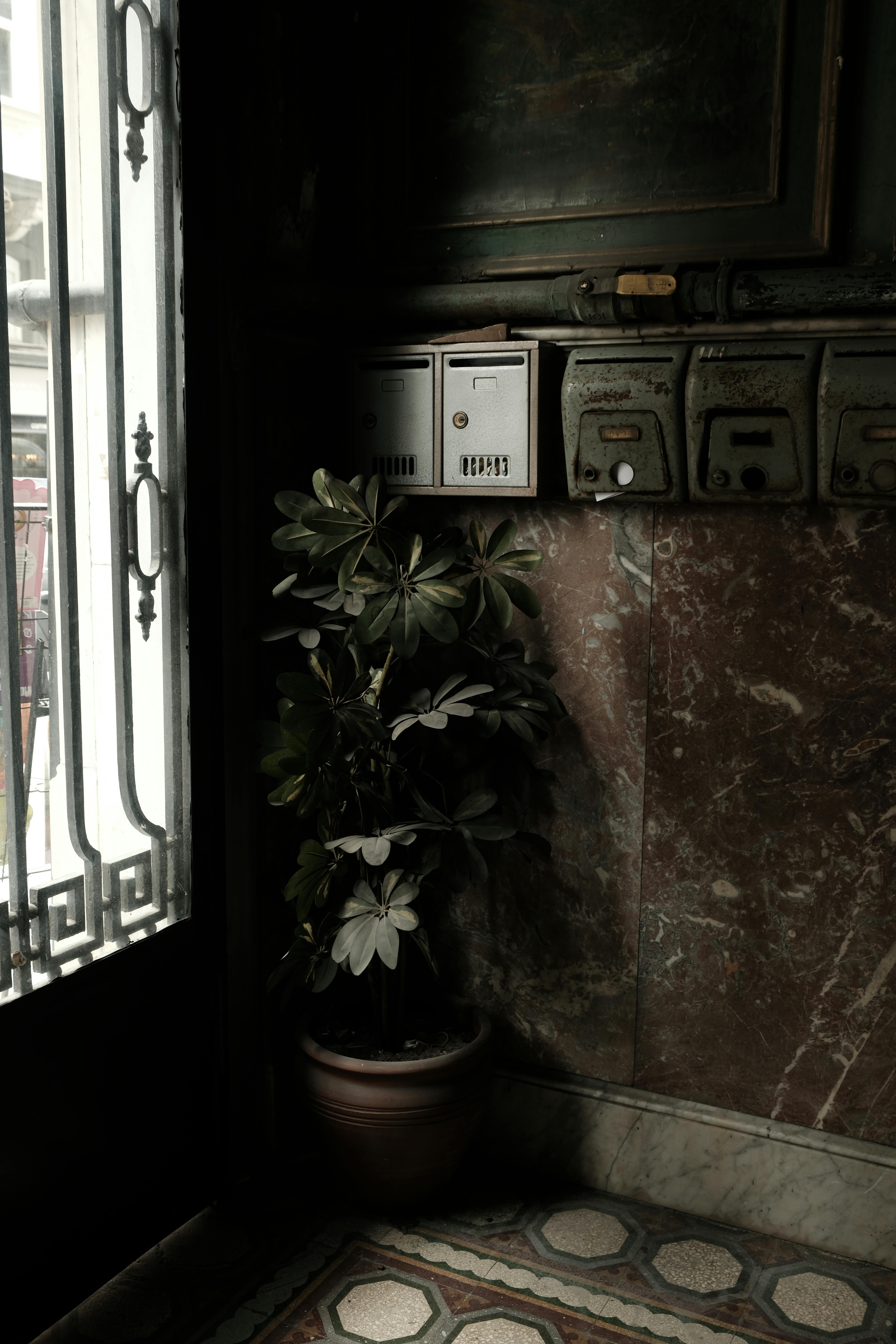 Gratuit Imagine de stoc gratuită din antichitate, arhitectură, arhitectura interioara Fotografie de stoc