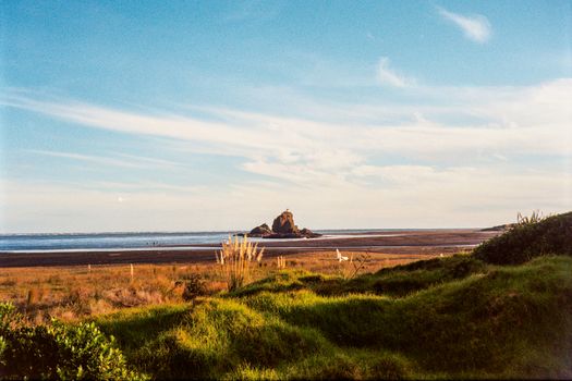 West Coast black-sand beaches — Auckland