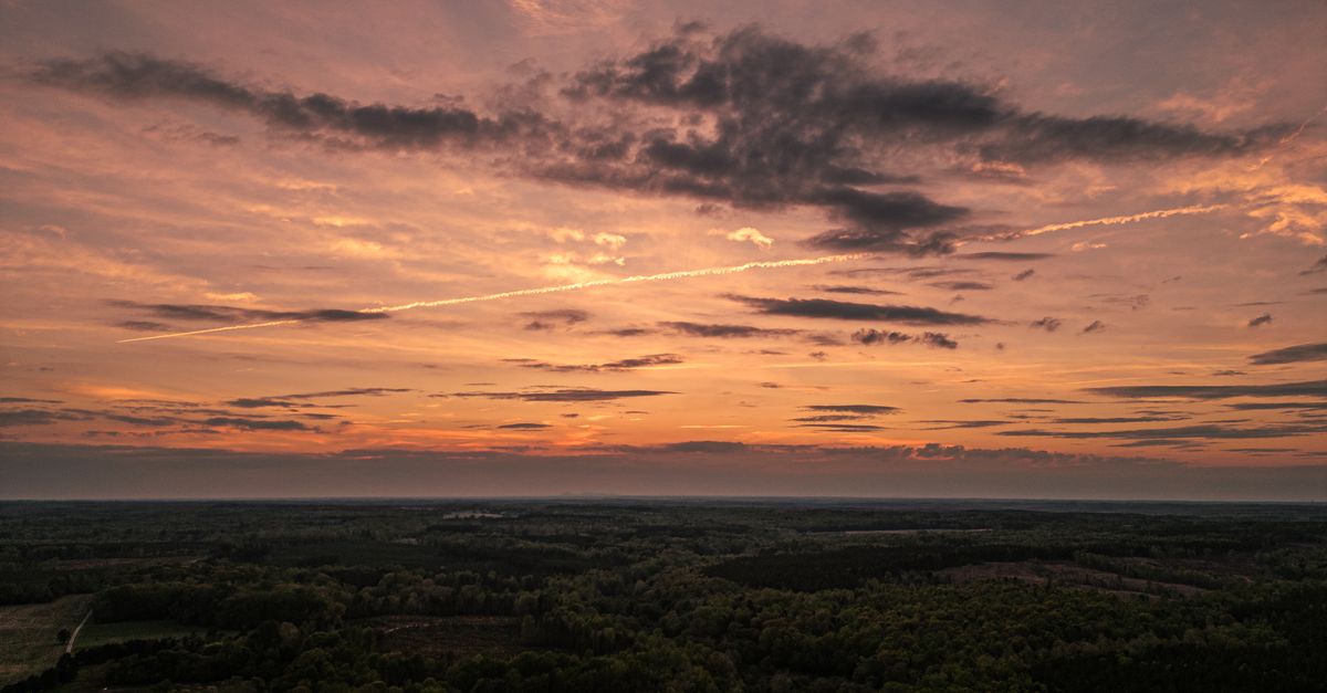 Stunning drone shot capturing a vibrant sunset over a lush Virginia forest.