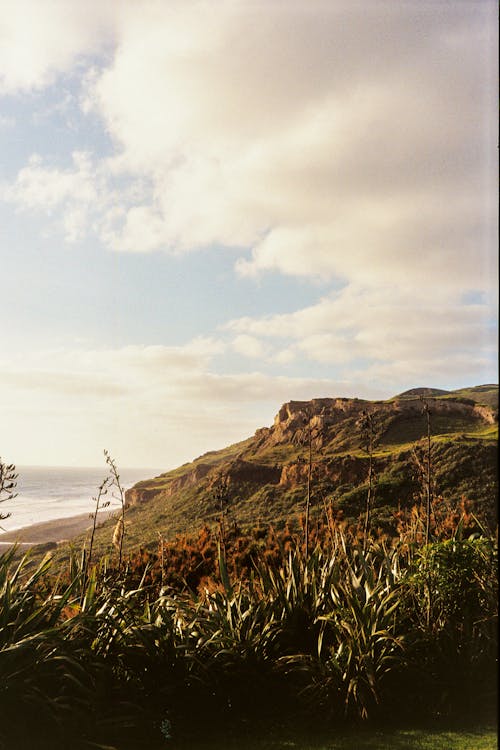 Imagine de stoc gratuită din coastă, deal, fotografiere verticală