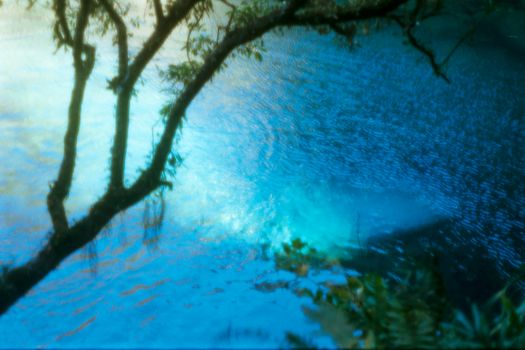Waitomo glowworm caves day — Rotorua