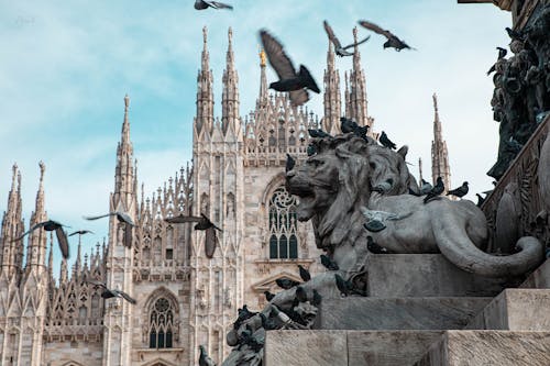 Pigeons Flying over Lion Sculpture on Piazza Del Duomo, Milan, Italy