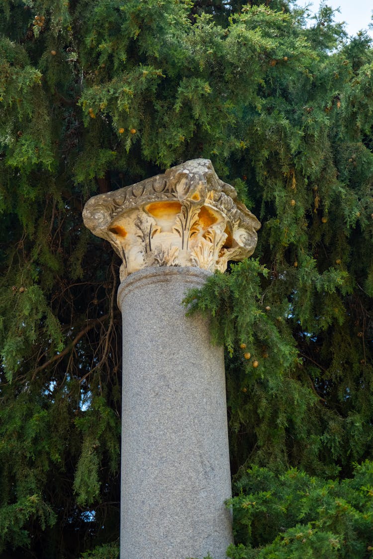 Golden Top Of Column