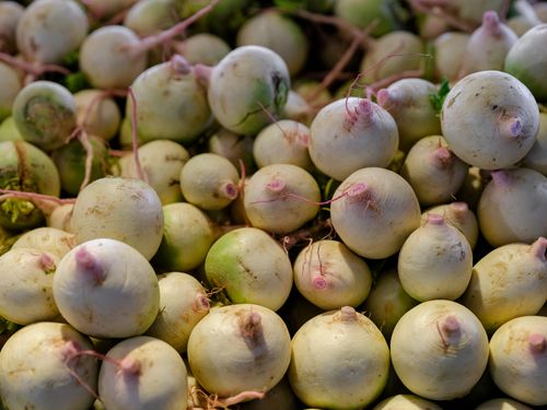 Free A close-up view of fresh white radishes stacked together, showcasing their natural texture and color. Stock Photo