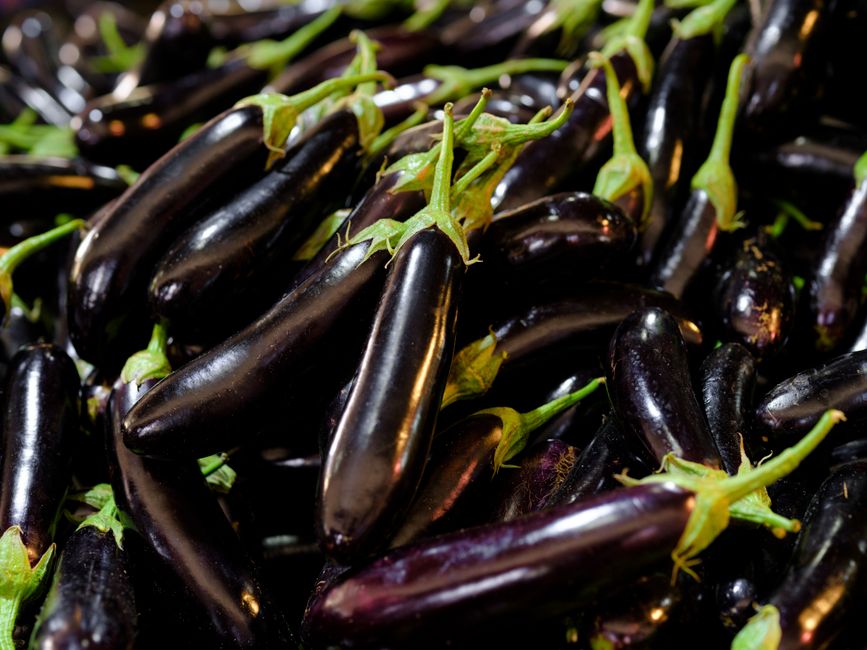 Berenjenas frescas de color púrpura oscuro en un mercado o puesto de verduras